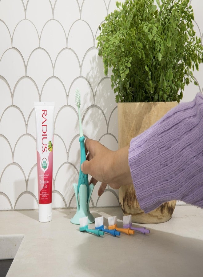 RADIUS USDA Organic Kids Toothpaste 3oz Non Toxic Chemical-Free Gluten-Free Designed to Improve Gum Health for Children's 6 Months and Up - Dragon Fruit - Pack of 1 - Image 2